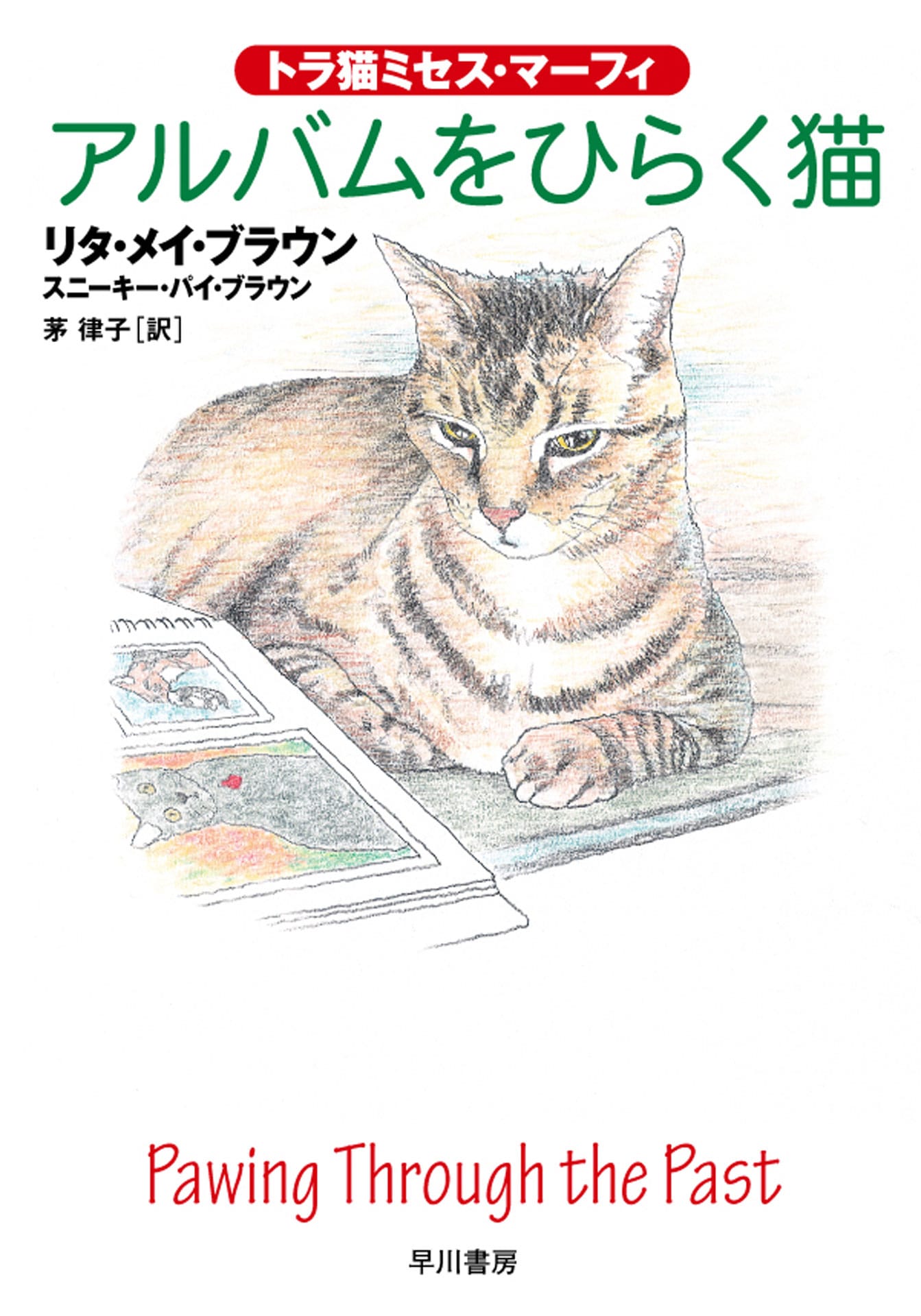 アルバムをひらく猫