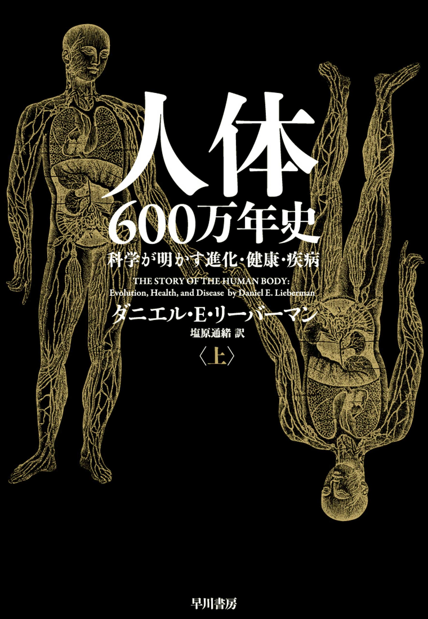 人体六〇〇万年史　上　―科学が明かす進化・健康・疾病―