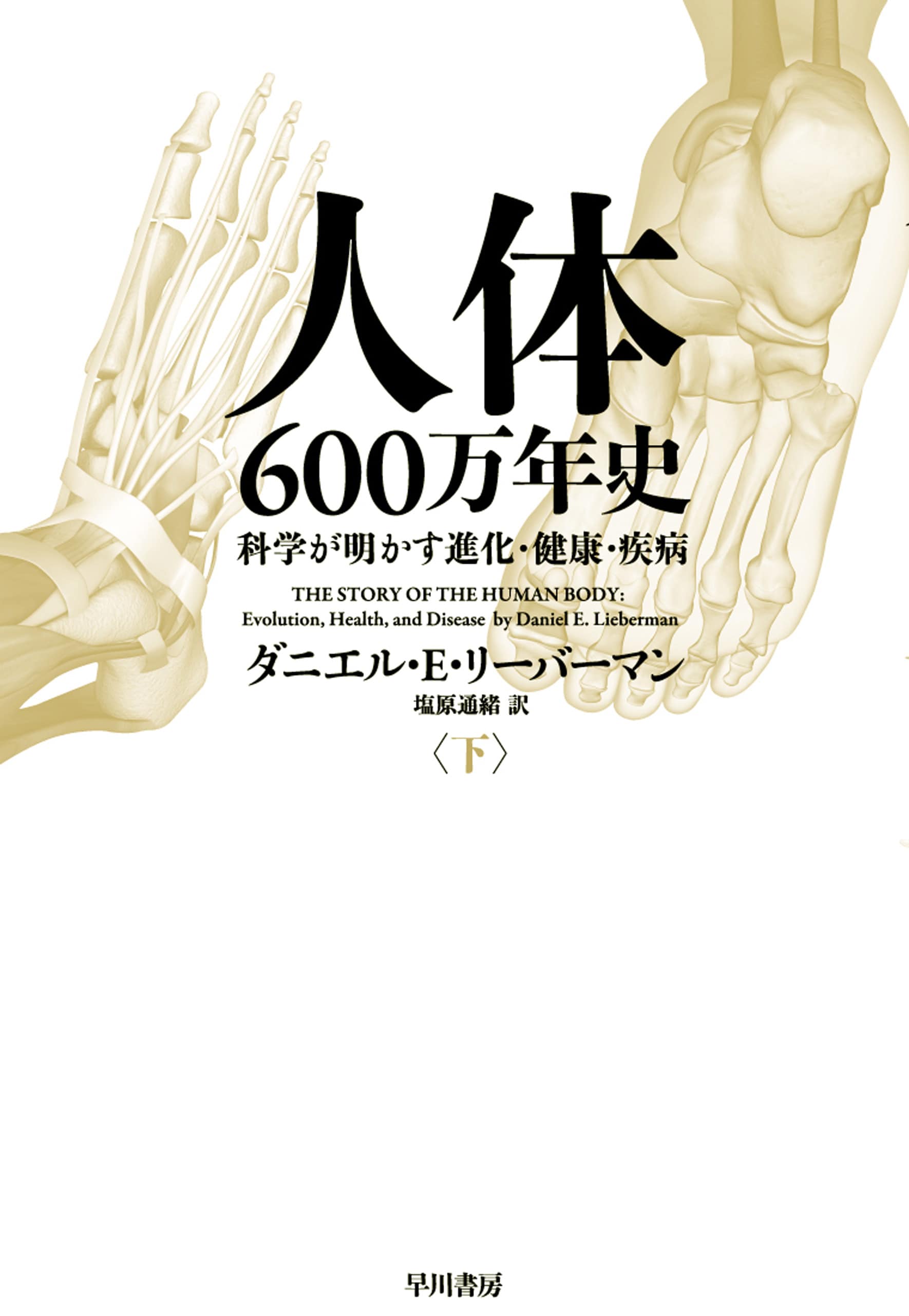 人体六〇〇万年史　下　―科学が明かす進化・健康・疾病―