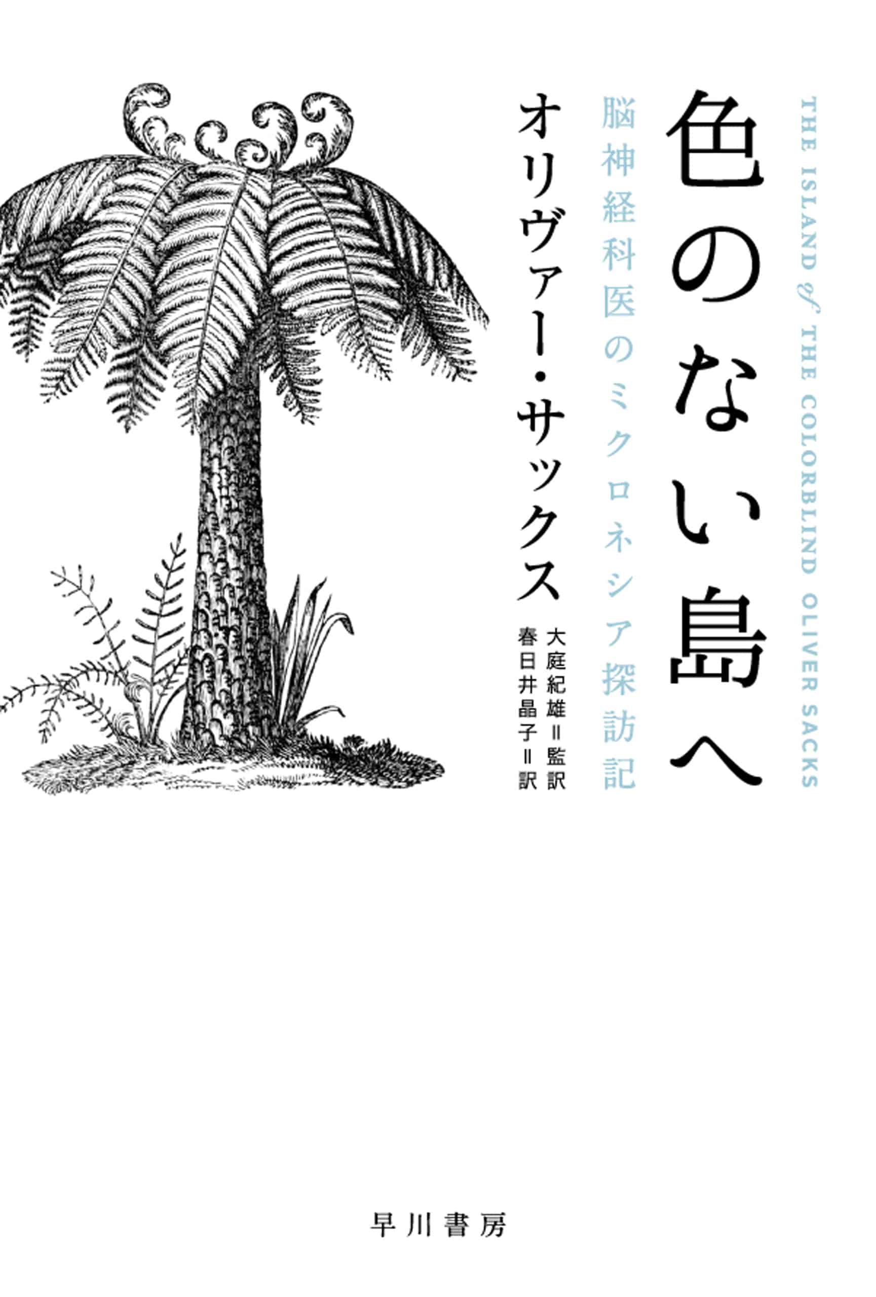 色のない島へ　―脳神経科医のミクロネシア探訪記―