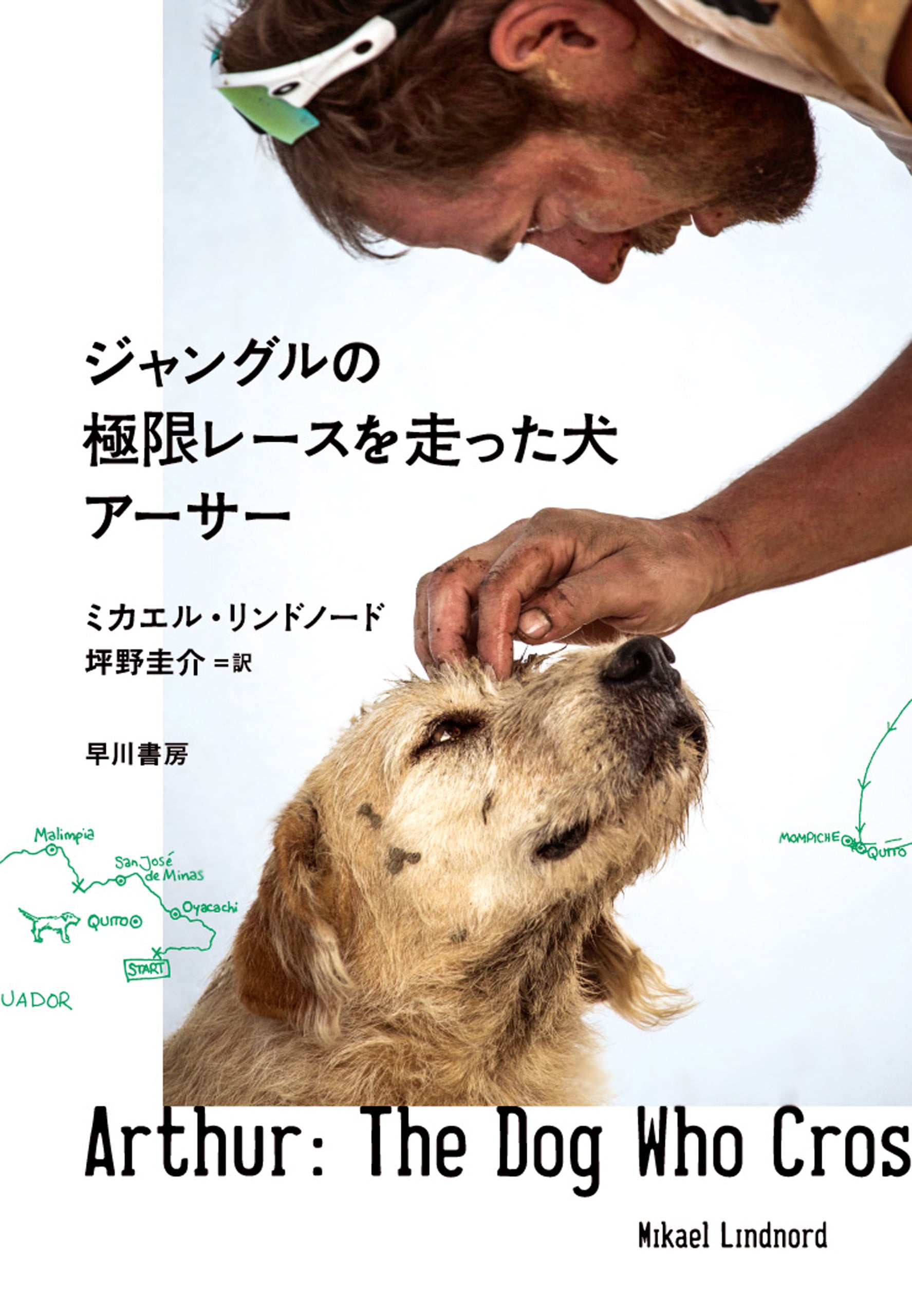 ジャングルの極限レースを走った犬 アーサー