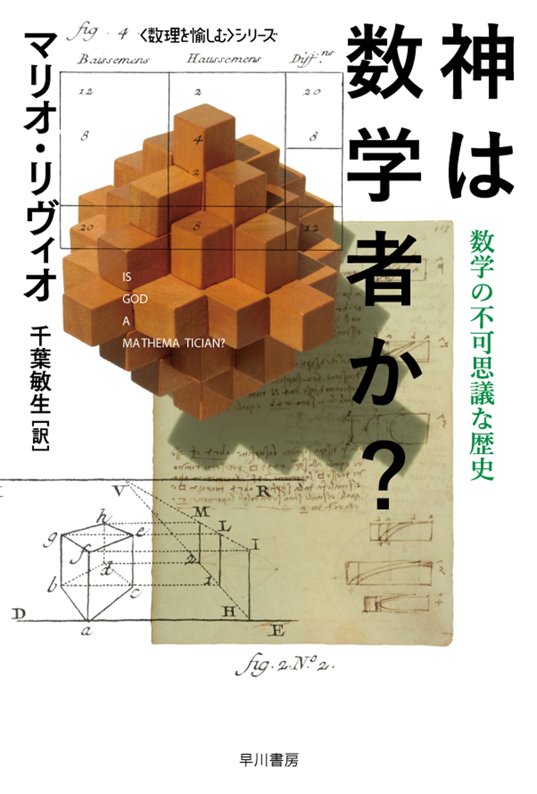 神は数学者か？　―数学の不可思議な歴史―