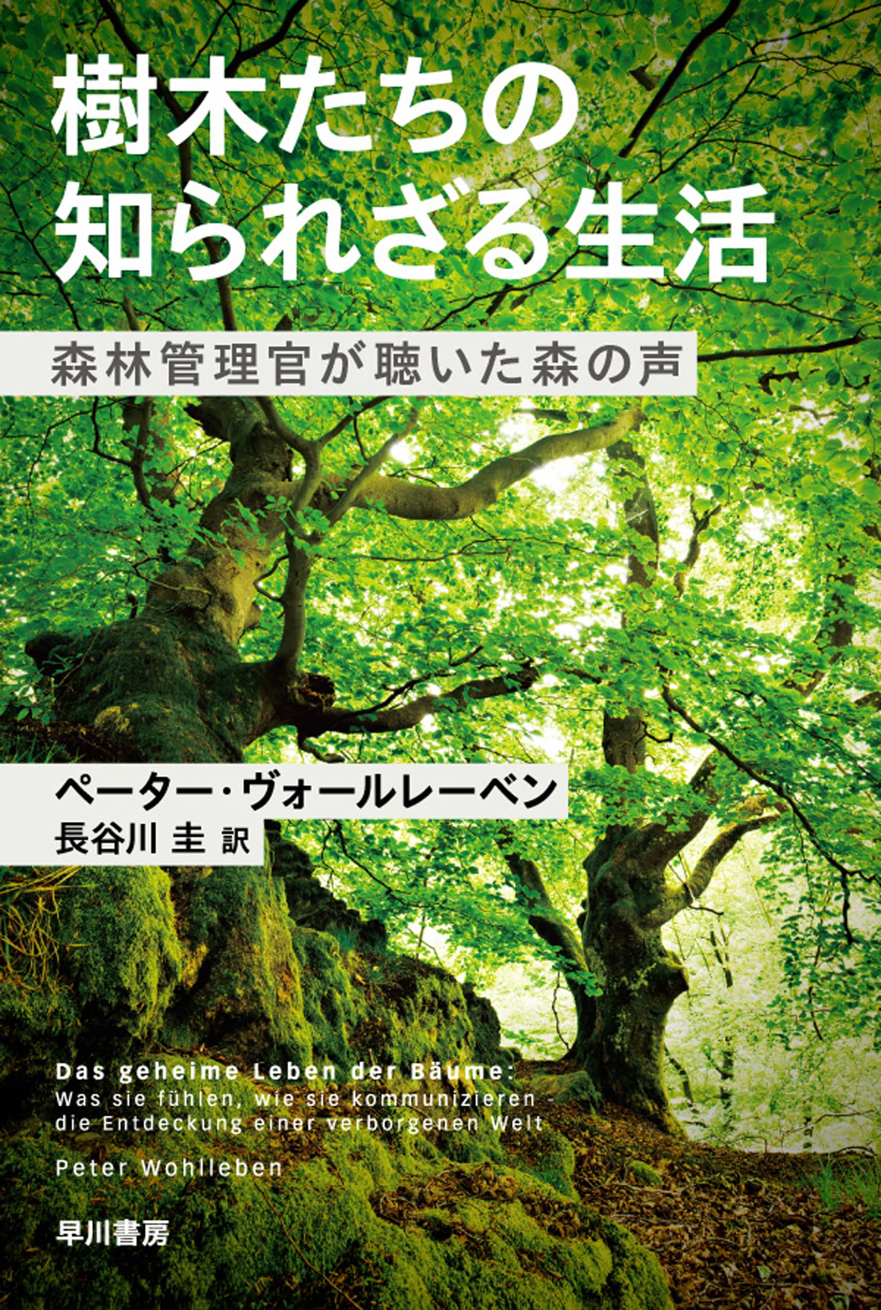 樹木たちの知られざる生活　―森林管理官が聴いた森の声―