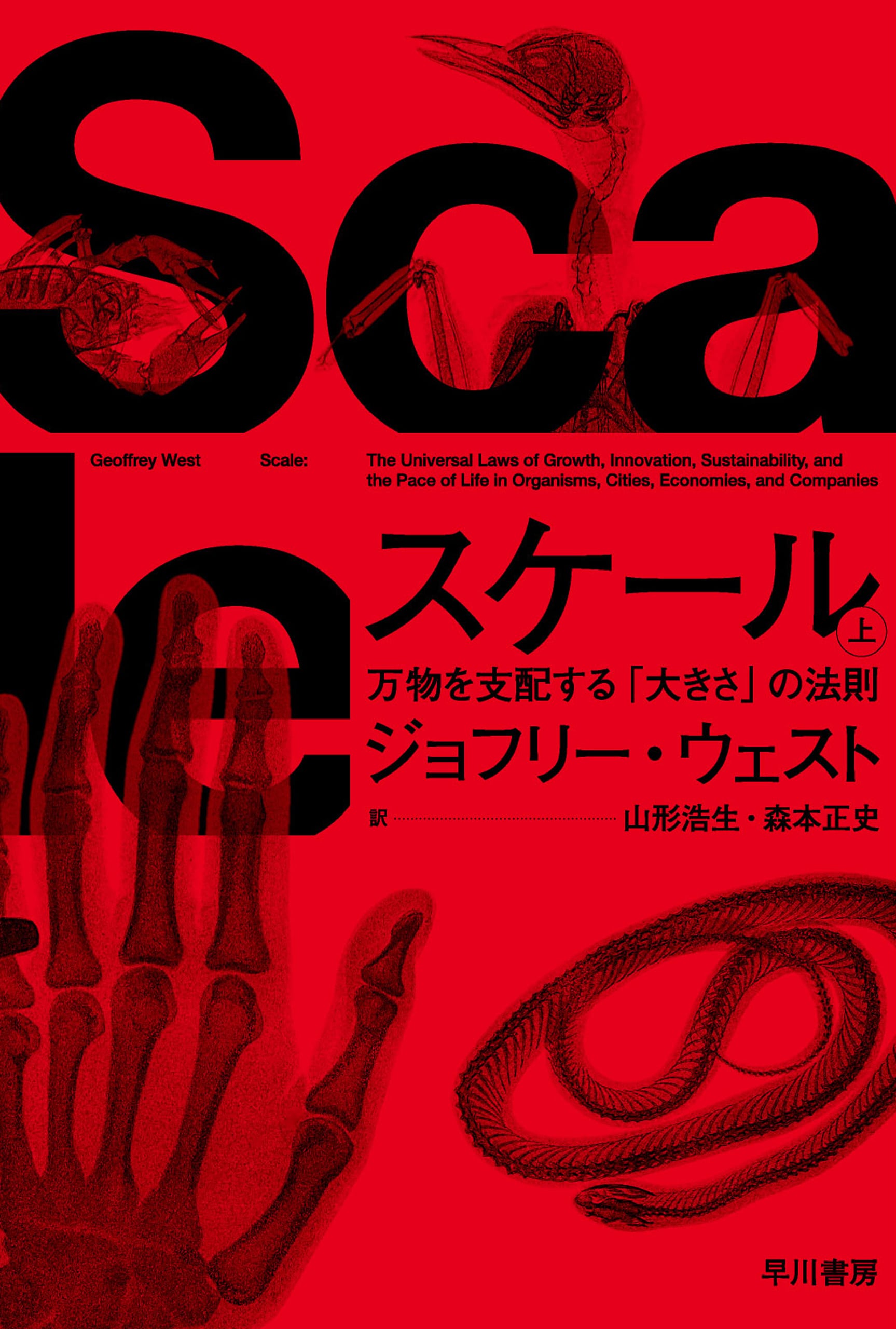 スケール　上　―万物を支配する「大きさ」の法則―